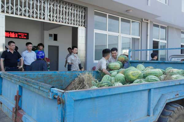 政府送清涼正在搬運西瓜